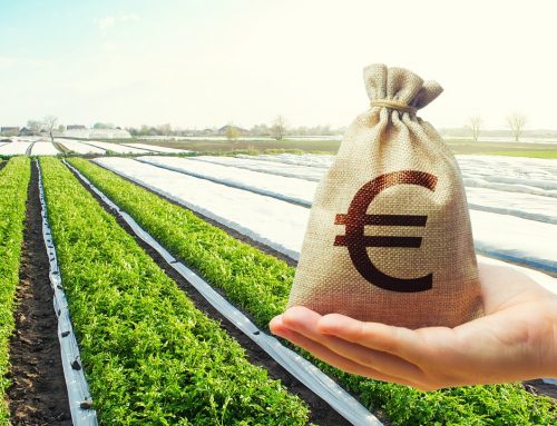 Nuovo Protocollo di Finanziamento per le Aziende Agricole: Accesso Facilitato al Credito